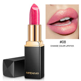 2019 New 9 Colors Luxury Lipstick Lips Makeup Waterproof Shimmer Long Lasting Pigment Nude Pink Mermaid Shimmer Lipsticks Makeup