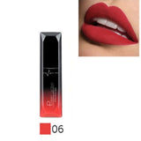 Hot Sales Waterproof Nude Matte Velvet Glossy Lip Gloss Lipstick Lip Balm Sexy Red Lip Tint 21 Colors Women Fashion Makeup Gift